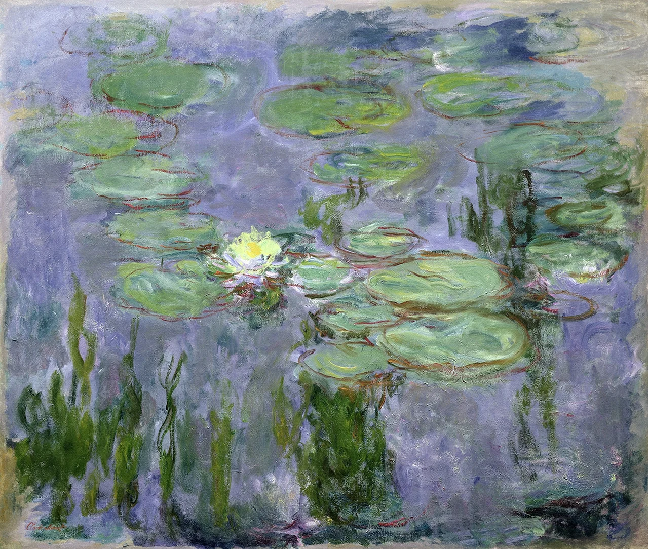 Nymphéas